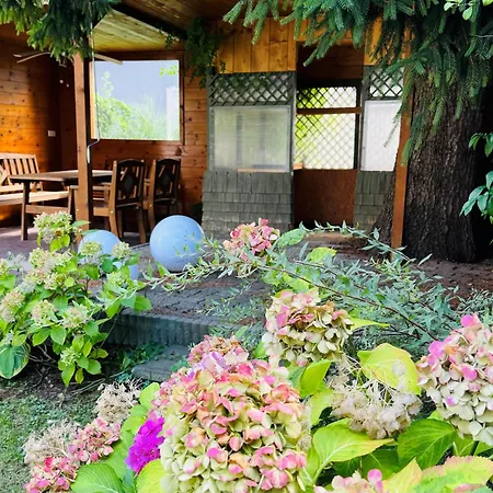 City Apartments Bludenz Apartment *