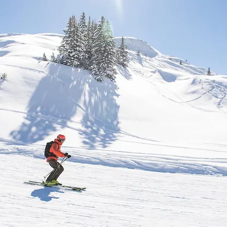 公寓 City Apartments Bludenz 布鲁登茨