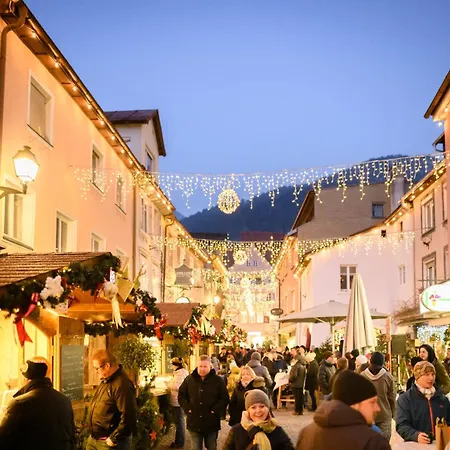 City Apartments Bludenz 布鲁登茨