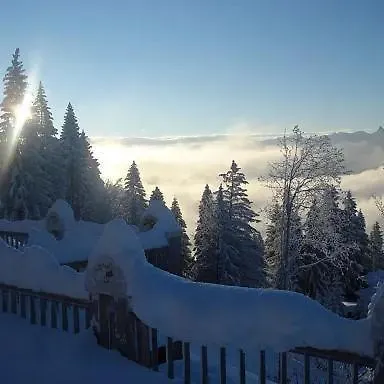 City Apartments Bludenz Apartment